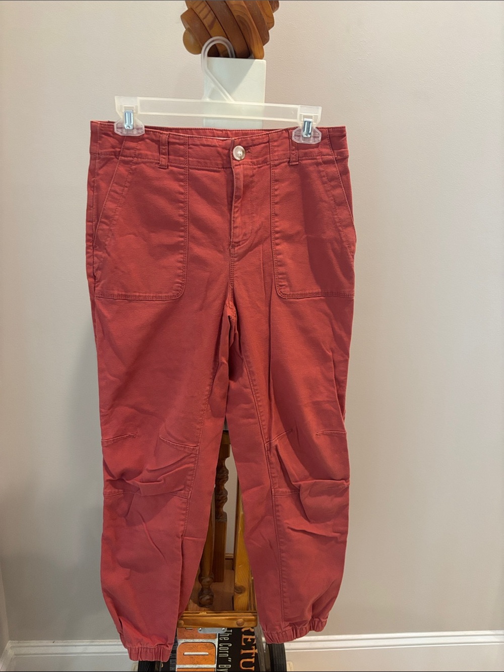 LOFT Rust-Coral Cargo Pants